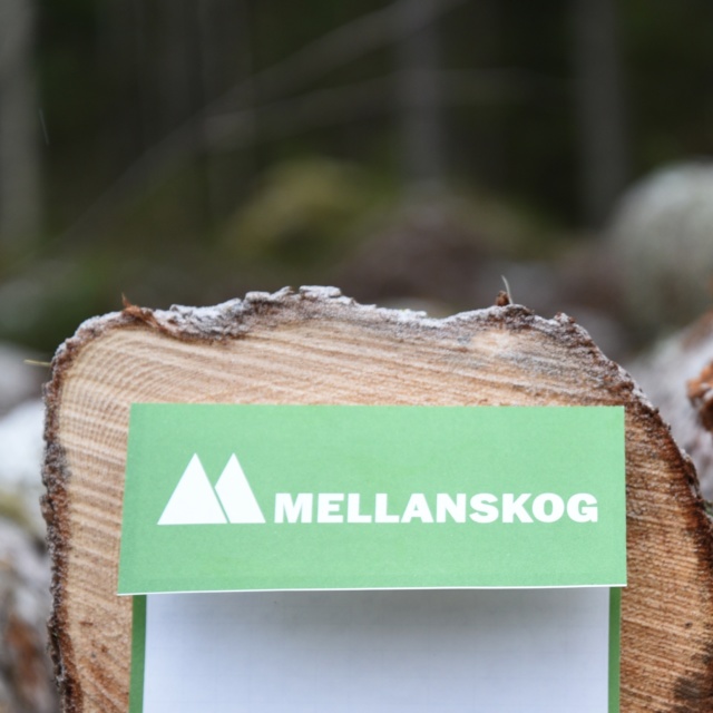 Vältlapp på stock Mellanskog